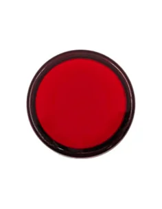 Luz piloto LED rojo diámetro 22mm | Celectricos 2