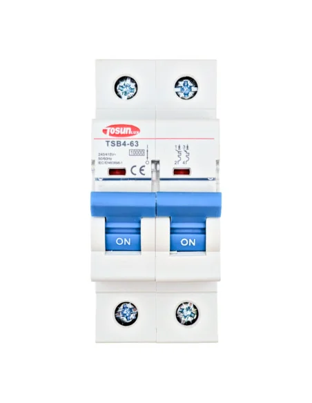 Interruptor magnetotérmico 10kA 2P Curva C 10-63A | 