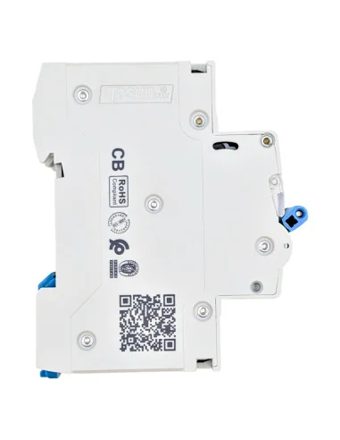 Interruptor magnetotérmico 10kA 2P Curva C 10-63A | 