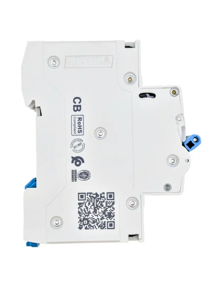 Interruptor magnetotérmico 10kA 2P Curva C 10-63A | 