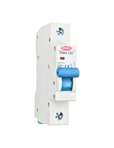 Interruptor Magneto térmico unipolar de 80 a 125A 6kA Modular 2