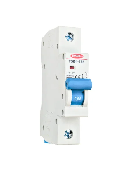 Magnetotérmico 1P 80-125A 6kA | 