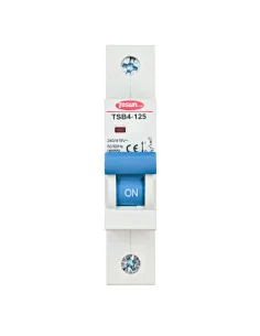 Interruptor Magneto térmico unipolar de 80 a 125A 6kA Modular