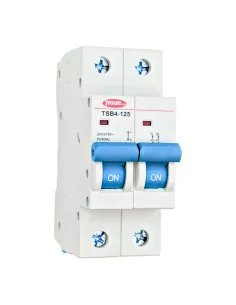 Interruptor magnetotérmico bipolar 80-125A 6kA Celectricos 2