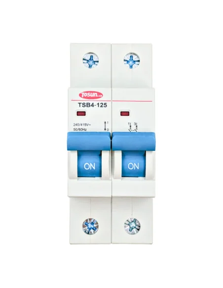Magnetotérmico 2P 80-125A 6kA | 